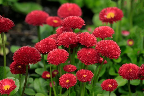Fabrication rampe balcon escalier sur mesure à joliette