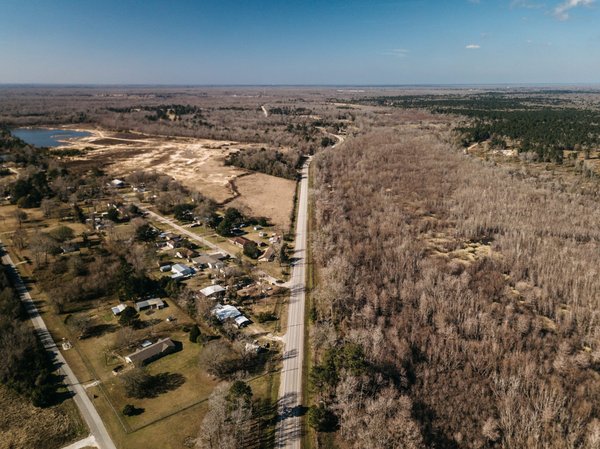 Conseils pour cultiver un figuier en pot dans un climat tempéré?